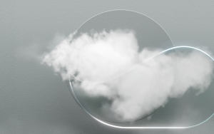 Synology C2-negocios-w