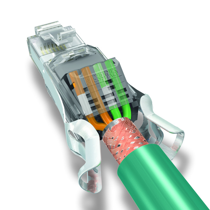 figure3BN131