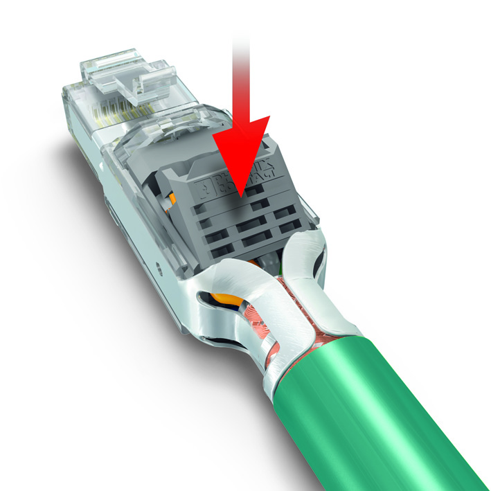 figure3CN131